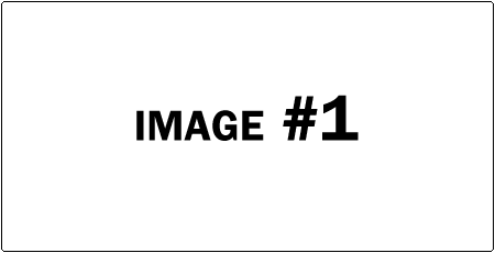 Image Caption