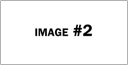 Image Caption