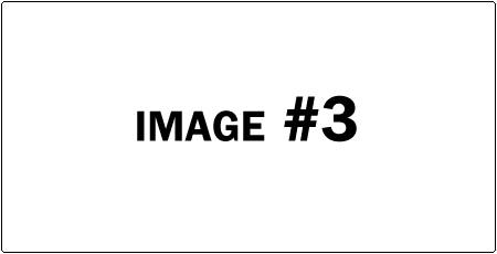 Image Caption